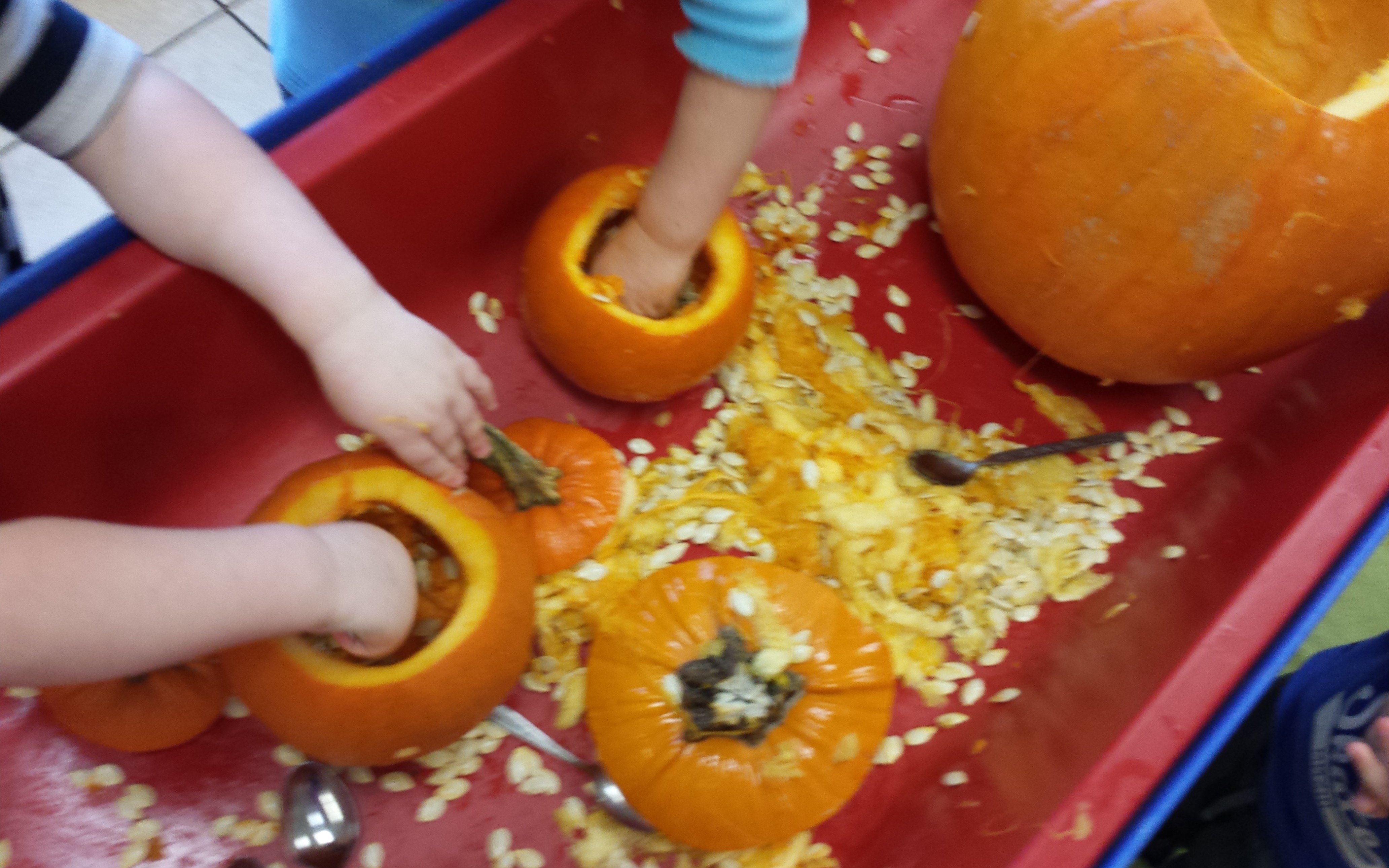 Maple Room Pumpkin Fun!